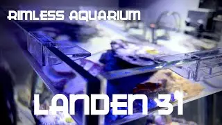 Landen 31 Gallon Cube Rimless Aquarium Review and Unboxing!!!