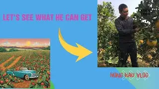 This is his grapefruit picking scene