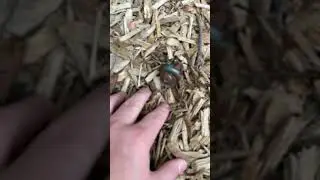 Tripping Hazard&hellip;.Tutorial