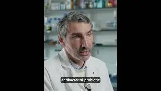 How Algae4IBD is Making Everyday Foods Super Functional! 💡#EUresearch
