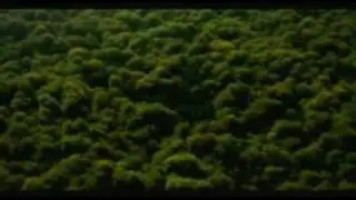 Save the Earth and save humanity- Save our Tiger Campaign Video.flv