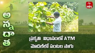 ATM model in natural farming by Parvathipuram farmer | ETV