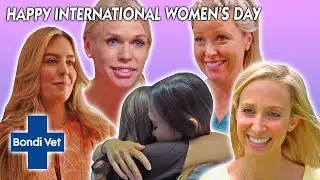 Best Of Our Women Bondi Vet's, Happy International Women's Day | Compilation | Bondi Vet