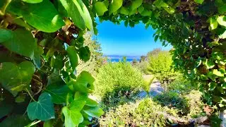 Gibraltar Hidden Gem Nobody Knows About