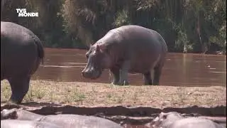 Burundi: le parc de la Rusizi menacé