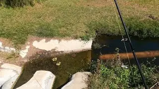 Catching fish on the side of the road crazy guy calls the cops TWICE!!