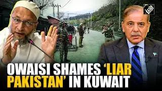 &lsquo;Pak said Sajid Mir is dead&hellip;&rsquo; Owaisi shames Islamabad, demands country&rsquo;s inclusion in FATF grey list
