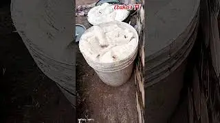 If you know this smell, you&rsquo;re truly African 😌🔥#FermentedCassava #LocalFoodVibes