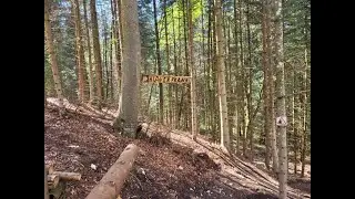 Spaichingen - Blauer Franz