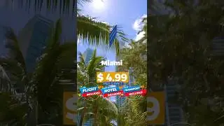 🏝️Dreaming of Hair Restoration? Join Us in Miami! / #hairrestorationvacation #fuehair #hairgrowth
