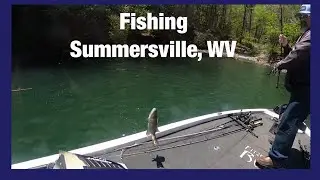 Bass fishing Summersville, WV