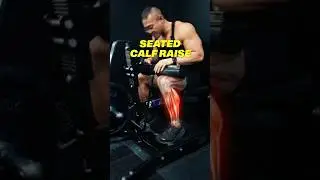 HOW TO Seated Calf Raise