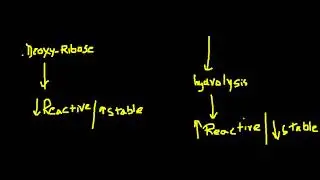 why dna is genetic material not rna?
