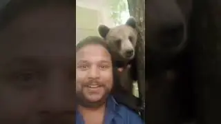 #rap #fun #shortvideo #love #bollywood #bollywood #song #happy #song #funny #laugh #shortvideo