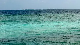 Dive into the Maldives