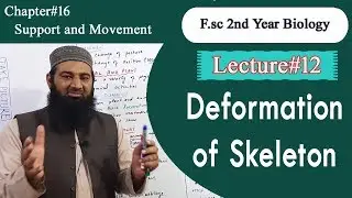 Biology Ch#16-Lecture#12 Deformation of skeleton  (F.Sc 2nd Year)