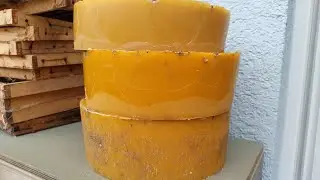 Bienenwachs Gewinnung einschmelzen Dampfwachsschmelzer Trester auspressen