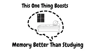 How One Night of Sleep Can Boost Memory, Focus & Confidence