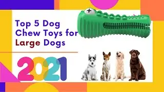 🆕TOP 5 Dog Chew Toys For Large Dogs 2021  Rating ★★★★ Best Dog Toys For Aggressive Chewers Must See!