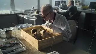 Archaeologist cleans ancient cultural heritage from sand using tools and brush