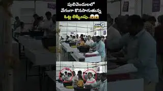 Pulivendula ZPTC Election Counting : పులివెందులలో వేగంగా కొనసాగుతున్న ఓట్ల లెక్కింపు..! | Prime9