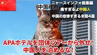 【総集編】中国の“悲惨すぎる末路”4選#猫マニ #猫ミーム