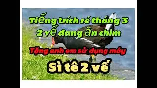 tiếng trích ré 2 vế riêng biệt đang ăn chim tặng anh em xài máy sì tê 2 kênh. 0949858434
