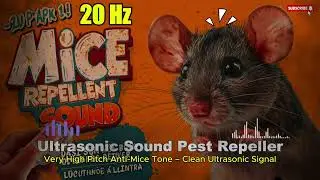 🐭🔊 Ultrasonic Pest Repeller – Anti Rat High Frequency Sound - 10 Hours | Safe & Silent Audio