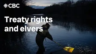 Fishing elvers in Sipekne&rsquo;katik through treaty rights