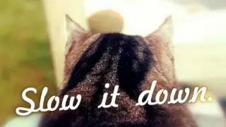 Squiller - Slow it Down