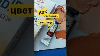 How to Blend a Face Color? Burnt Sienna Vista-Artista #art #painting #facecolor #color #creativity