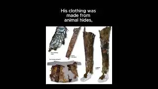 Otzi The Iceman