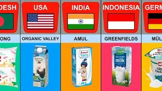 Milk From Different Countries