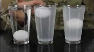 Float an Egg in the Middle of Salt Water - Water Density Science Experiment