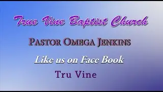 True Vine Baptist Church (Where God's Purpose is in Progress)