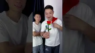 Rose magic trick