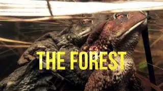 NORWEGIAN NATURE || Rivers, Forests, & Animals | MARKA Season 1 Trailer