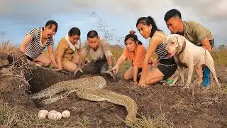 6 Brave Hunters With Pitbull Dog Confront ferocious Giant Python Lays Eggs In Nest