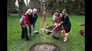 Niagara Parks Foundation Marks Third Anniversary with Earth Day Celebration Event