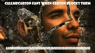 CallMeCarson Vs. His Stans