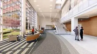 The 