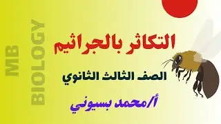 التكاثر بالجراثيم #الصف الثالث الثانوي #الاحياء #اكسبلور 