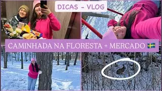 DICAS PARA REALIZAR O SEU SONHO DE CONHECER NEVE!⛄️UM COELHO SELVAGEM, PARECE CENA DE FILME• VLOG 🇸🇪