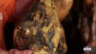 Elaboración del Jamón Ibérico JULIÁN MARTÍN