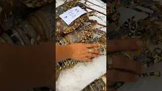 BIGGEST LOBSTER BBQ 2 #food #seafood #lobster #thailand