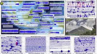 Live Volcanoes Seismic, Indonesia Volcano Monitoring LIVE SEMERU LIVE RAUNG #Officialcrew