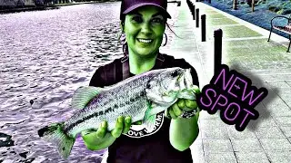 Urban Fishing, Dallas Tx