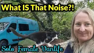 Тихий лес… Но что это за шум?! 🌲🔊 | День Vanlife