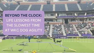 Beyond the Clock: Vital Lessons Learned from the Slowest Dog at WKC Agility