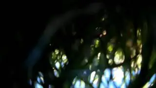 What FuriBee Alarm?